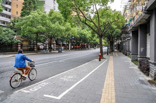 虹口區四條道路榮膺2019年度上海市精品示范路稱號